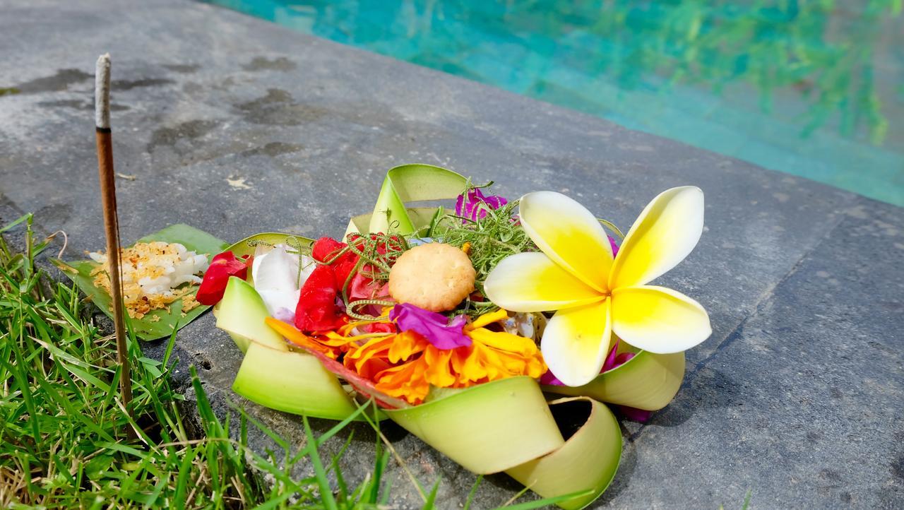 Wiki Bali Otel Ubud Dış mekan fotoğraf