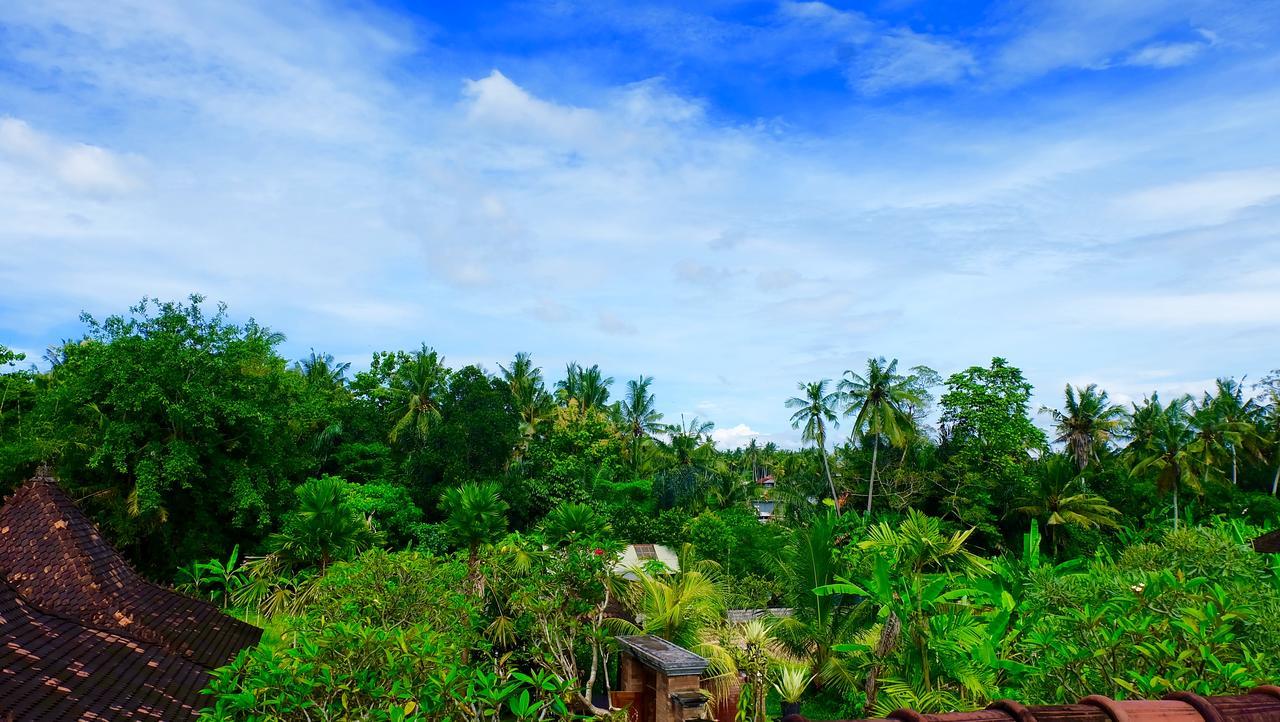 Wiki Bali Otel Ubud Dış mekan fotoğraf