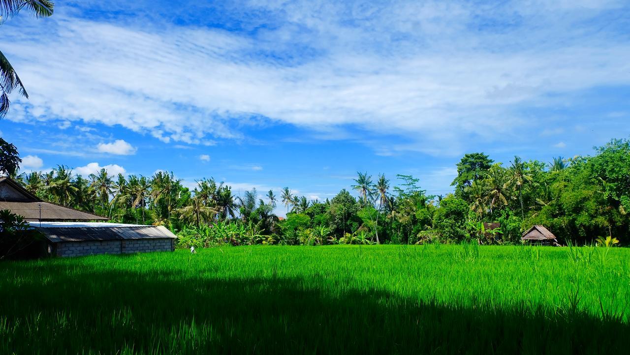 Wiki Bali Otel Ubud Dış mekan fotoğraf